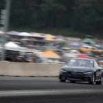 11th Annual VW Nationals